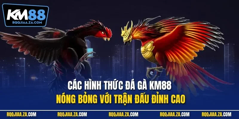 Các hình thức đá gà KM88 nóng bỏng với trận đấu đỉnh cao