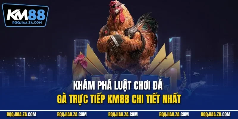 Khám phá luật chơi đá gà trực tiếp KM88 chi tiết nhất
