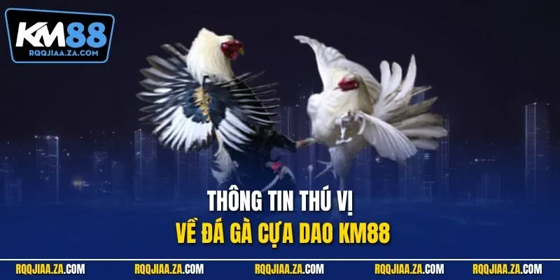 Thông tin thú vị về đá gà cựa dao KM88